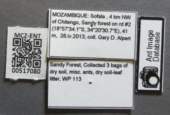 Media type: image;   Entomology 517080